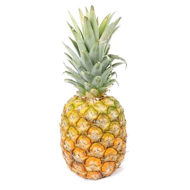 Pina Gold – Tufruver.co